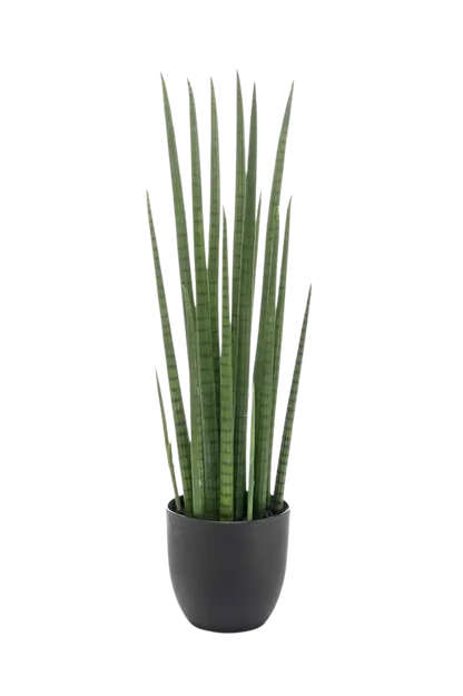 Künstlicher Bogenhanf - Joleen, 70 cm, Kunstpflanze von aplanta, inkl. Dekotopf, im schwarzen Topf, in Natur, für drinnen