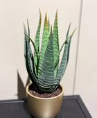 Künstliche Aloe - Patricia | 23 cm | Kunstpflanze von aplanta