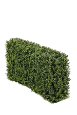 Hochwertiger Buchsbaum künstlich auf transparentem Hintergrund mit echt wirkenden Kunstblättern in natürlicher Anordnung. Künstliche Buchsbaumhecke - Jannis hat die Farbe Natur und ist 50 cm hoch. | aplanta Kunstpflanzen