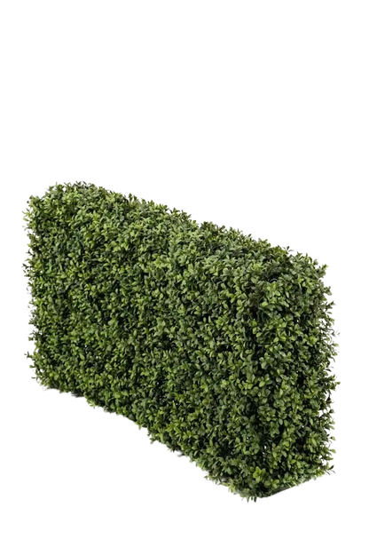 Hochwertiger Buchsbaum künstlich auf transparentem Hintergrund mit echt wirkenden Kunstblättern in natürlicher Anordnung. Künstliche Buchsbaumhecke - Jannis hat die Farbe Natur und ist 50 cm hoch. | aplanta Kunstpflanzen