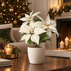 Poinsettia artificiel - Augustus | 32 cm