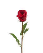 Hochwertige Hortensie künstlich auf transparentem Hintergrund mit echt wirkenden Kunstblättern in natürlicher Anordnung. Künstliche Rose - Carrie hat die Farbe Rot und ist 58 cm hoch. | aplanta Kunstpflanzen