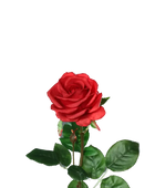 Künstliche Rose - Philipos | 66 cm