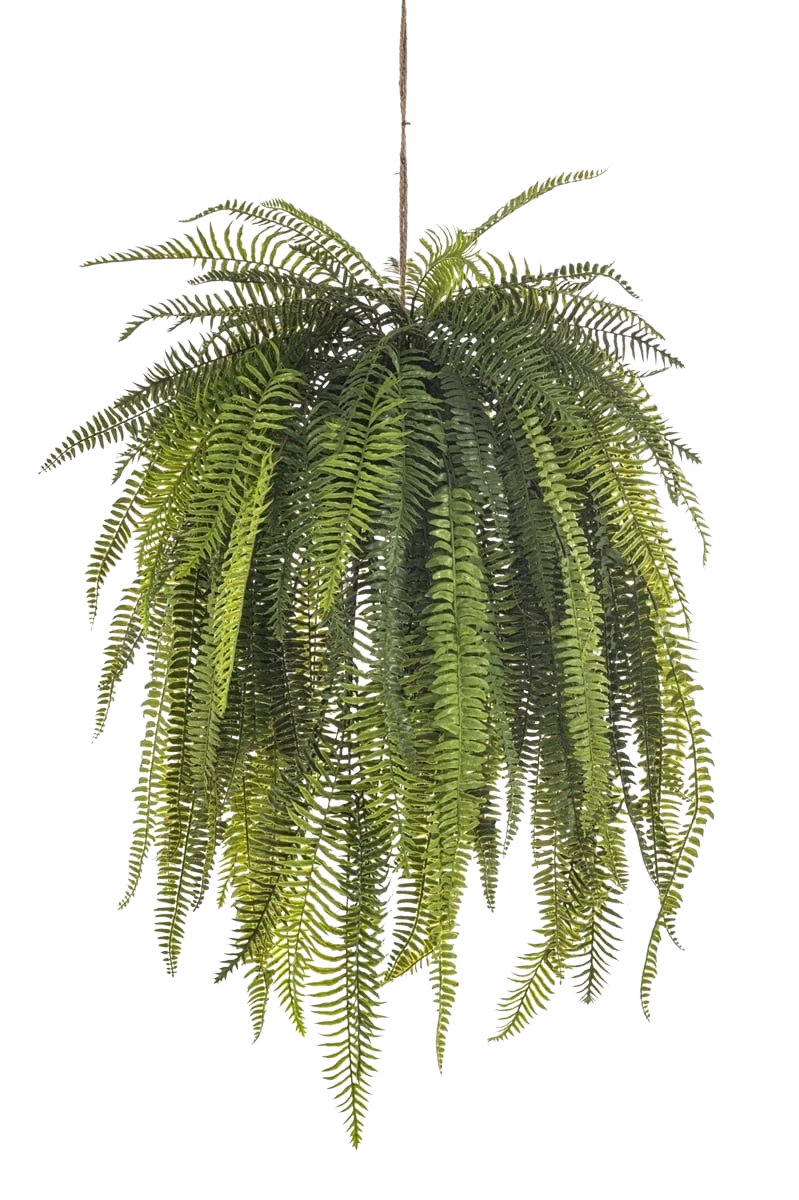 Künstlicher Hänge-Farn - Mila | 140 cm