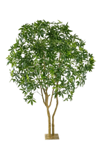 Künstliche Glückskastanie - Mitsu, 285 cm, Kunstbaum von aplanta, in Grün, für drinnen