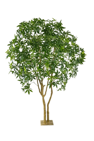 Künstliche Glückskastanie - Mitsu | 285 cm