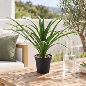 Künstliche Yucca - Basti | 35 cm