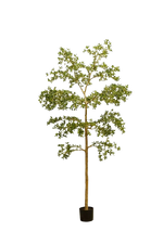 Künstlicher schwarzer Olivenbaum - Finja, 290 cm, Kunstbaum von aplanta, in Grün, für drinnen