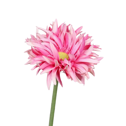 Künstliche Gerbera - Buggy auf transparentem Hintergrund mit echt wirkenden Kunstblättern in natürlicher Anordnung. Künstliche Gerbera - Buggy hat die Farbe rose und ist 57 cm hoch. | aplanta Kunstpflanzen