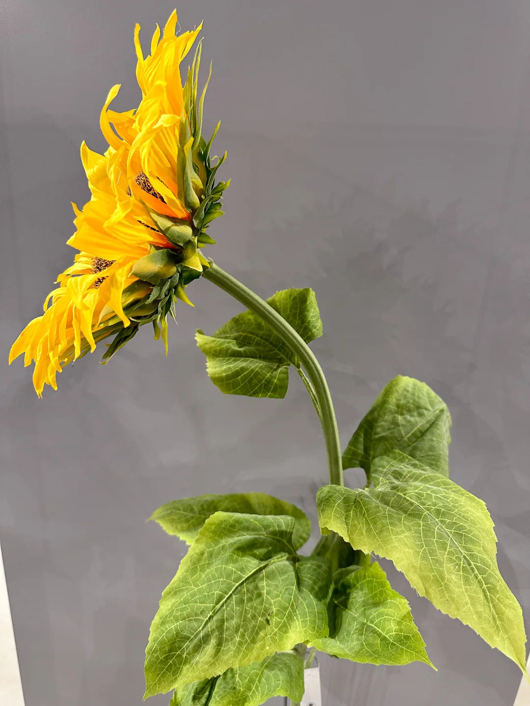 Tournesol artificiel - Sunny | 134 cm, Real Touch