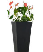 Bac à plantes - Amina | 35x35x70 cm, Anthracite