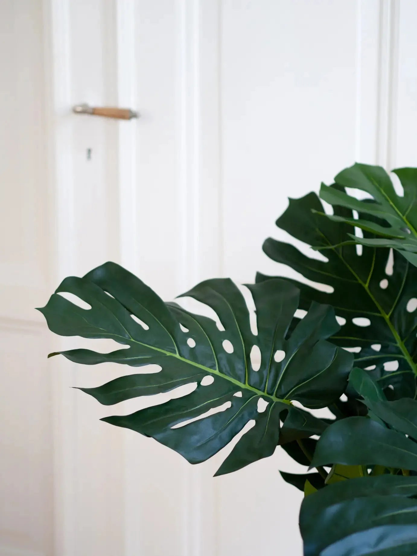 Künstliche Monstera - Thilo | 98 cm