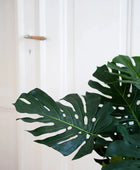 Künstliche Monstera - Thilo | 98 cm