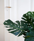 Philodendron artificiel - Fatima | 100 cm