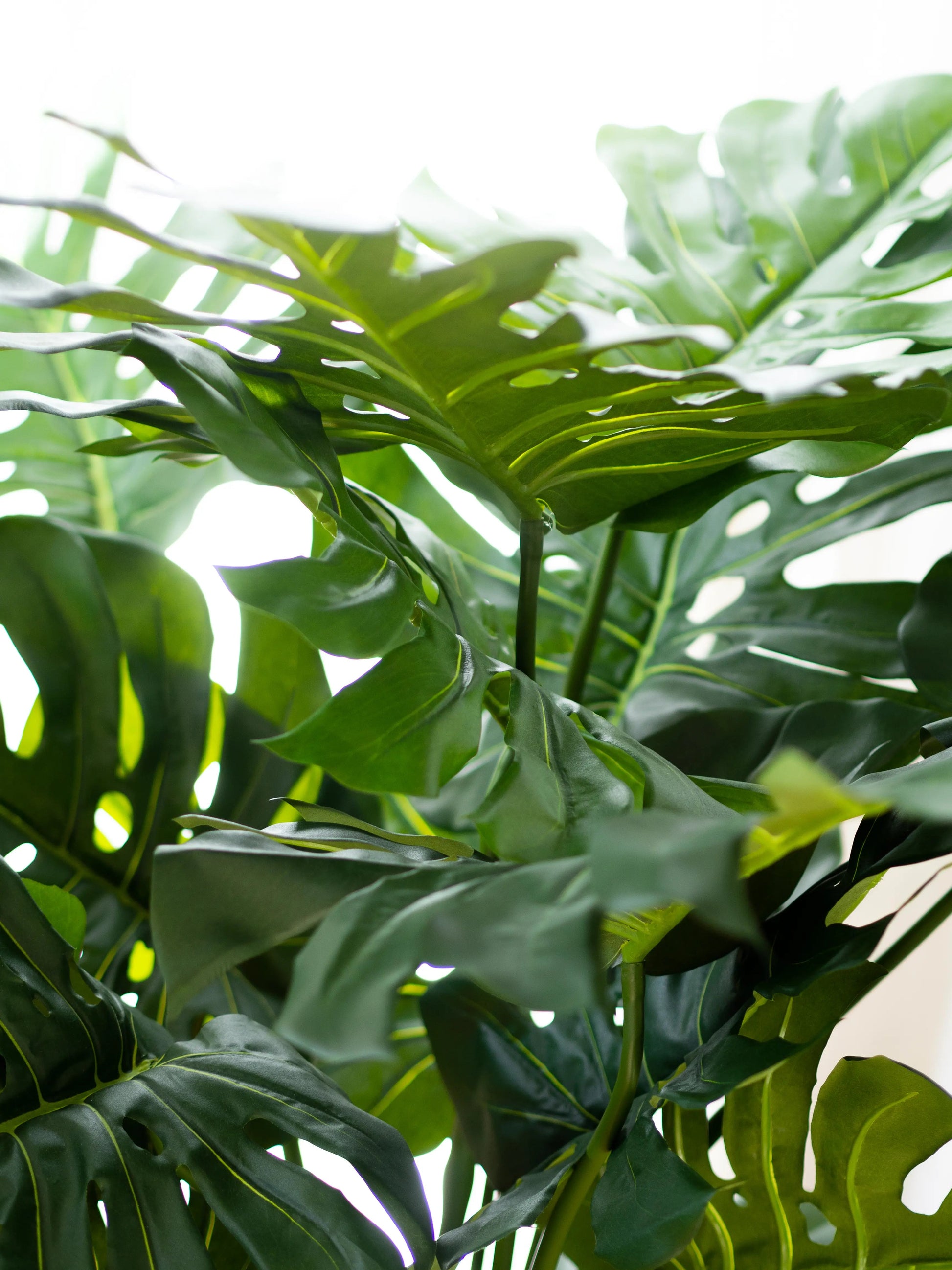 Philodendron artificiel - Fatima | 100 cm