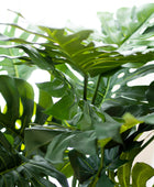 Philodendron artificiel - Fatima | 100 cm