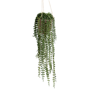 Plante artificielle suspendue - Kjell | 80 cm