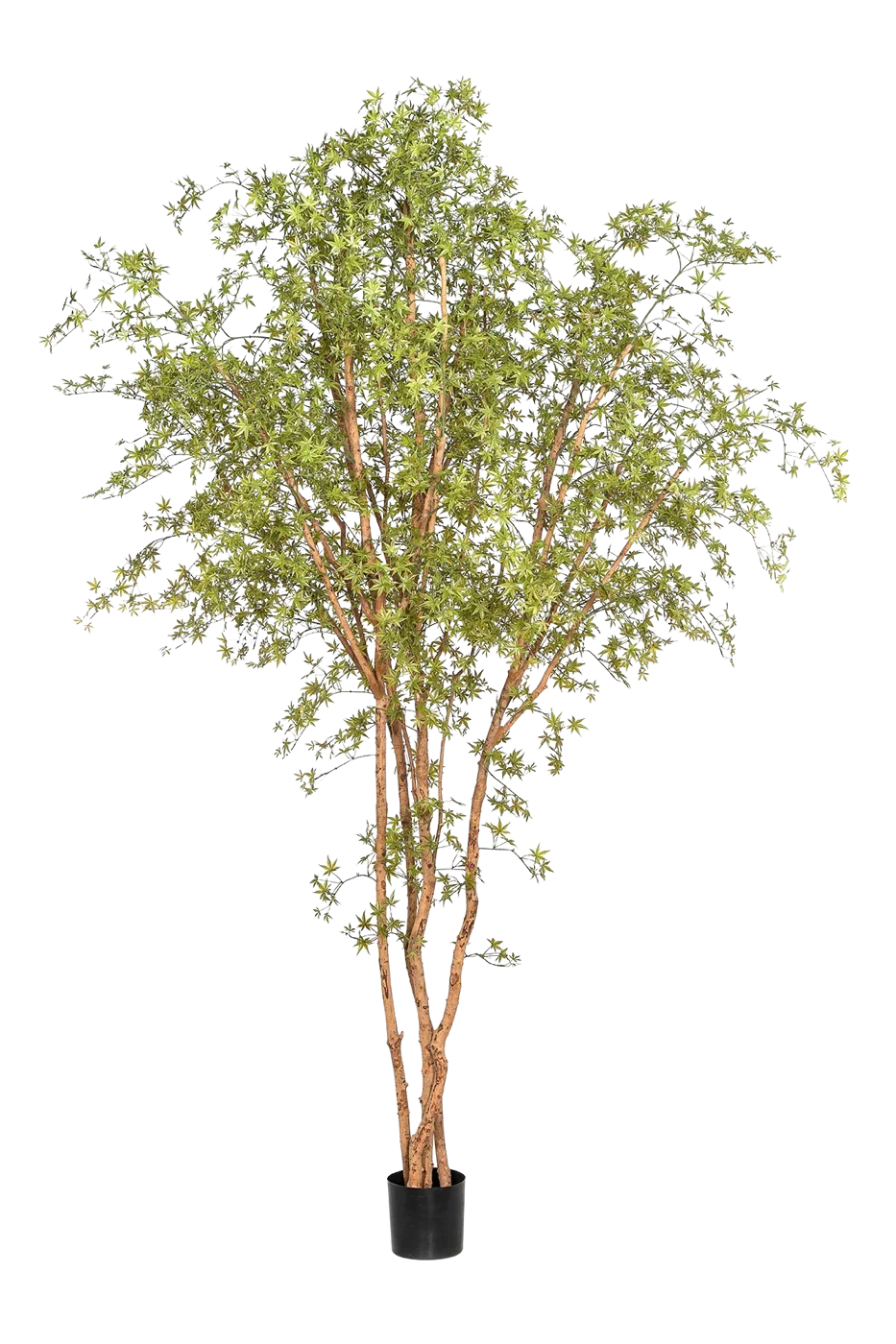 Künstlicher Ahornbaum - Pagur | 330 cm