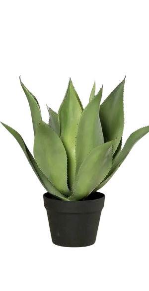 Künstliche Agave - Mustafa | 54 cm