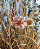 Fleurs artificielles de prairie - Ambre | 50 cm