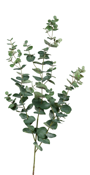 Branche d'eucalyptus artificielle - Coca | 115 cm
