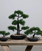 Künstlicher Zedern-Bonsai - Roy | 44 cm | in schwarzer Schale - Kunstpflanzen von aplanta