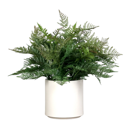 Künstlicher Farn - Josh | 58 cm | im creamfarbenen Topf
