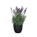 Künstlicher Lavendel - Ibo, 31 cm, Kunstblume von aplanta, in Lavender, für drinnen