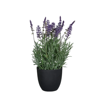 Künstlicher Lavendel - Ibo, 31 cm, Kunstblume von aplanta, in Lavender, für drinnen
