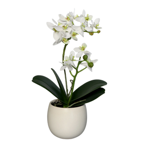 Künstliche Orchidee - Ishak | 30 cm | im Keramiktopf