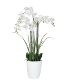 Künstliche Orchidee - Aylin | 120 cm