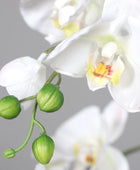 Künstliche Orchidee - Aylin | 120 cm, Real Touch - Kunstpflanzen von aplanta