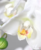 Künstliche Orchidee - Aylin | 120 cm, Real Touch - Kunstpflanzen von aplanta