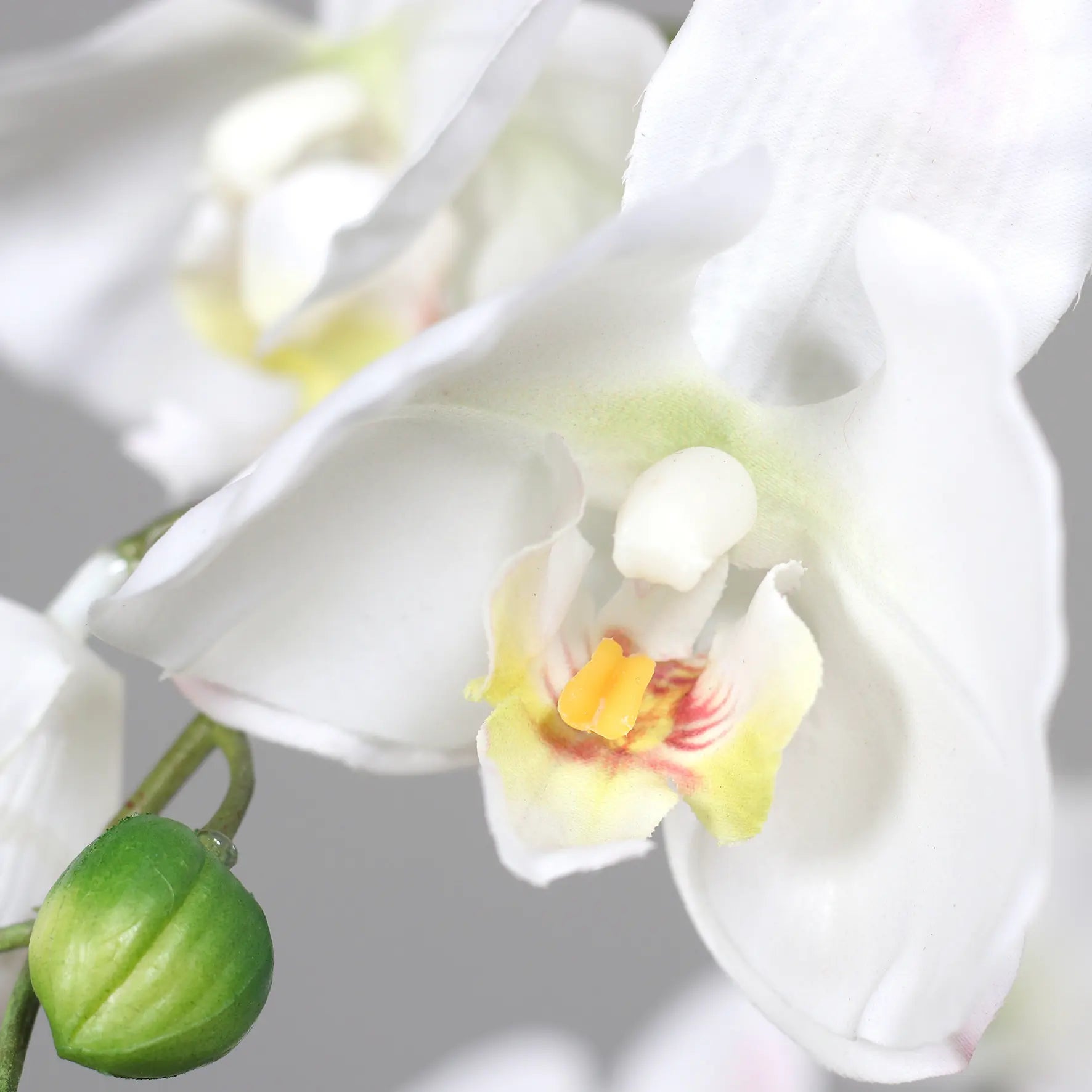 Künstliche Orchidee - Aylin | 120 cm, Real Touch - Kunstpflanzen von aplanta