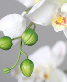 Künstliche Orchidee - Aylin | 120 cm, Real Touch - Kunstpflanzen von aplanta