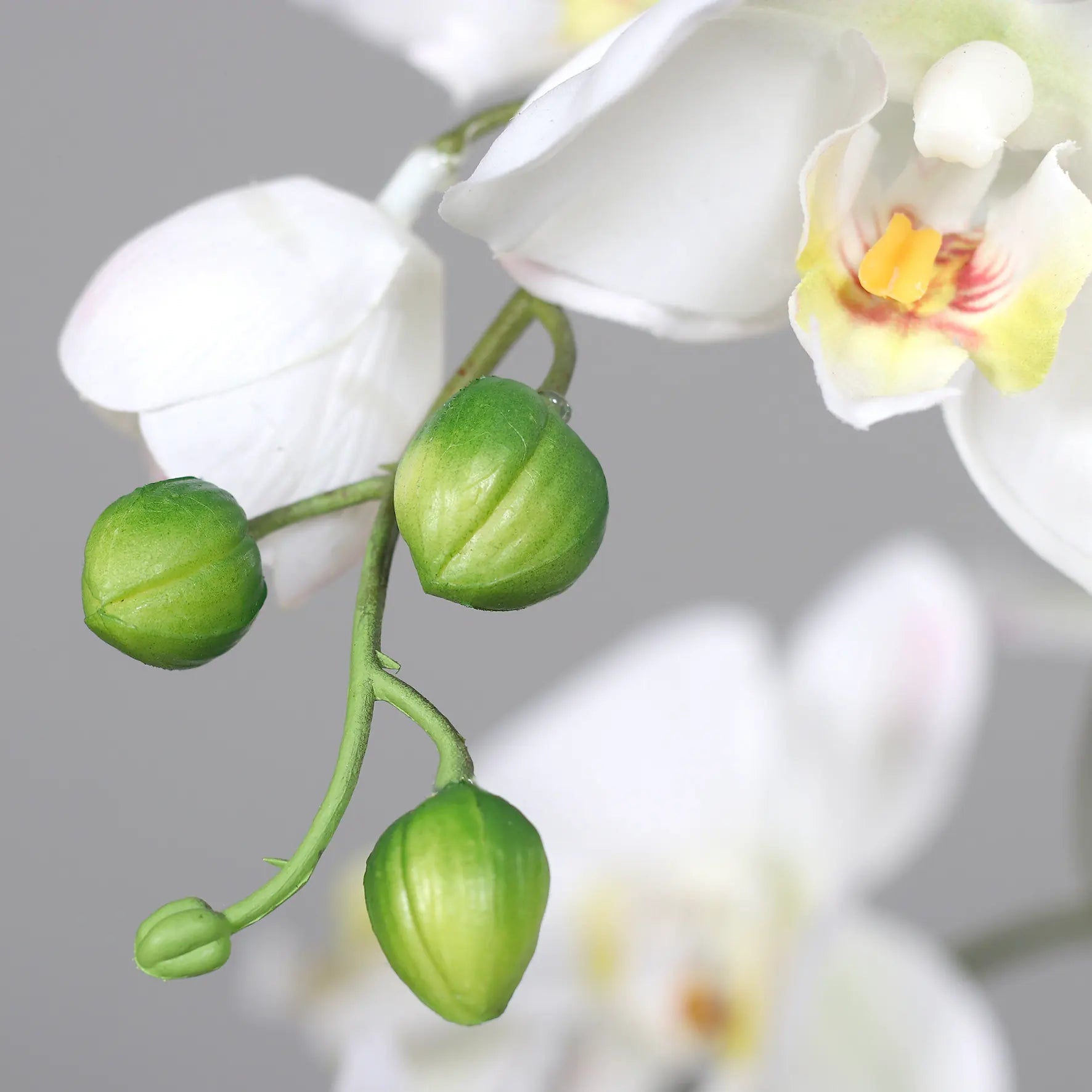 Künstliche Orchidee - Aylin | 120 cm, Real Touch - Kunstpflanzen von aplanta
