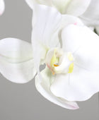 Künstliche Orchidee - Aylin | 120 cm, Real Touch - Kunstpflanzen von aplanta