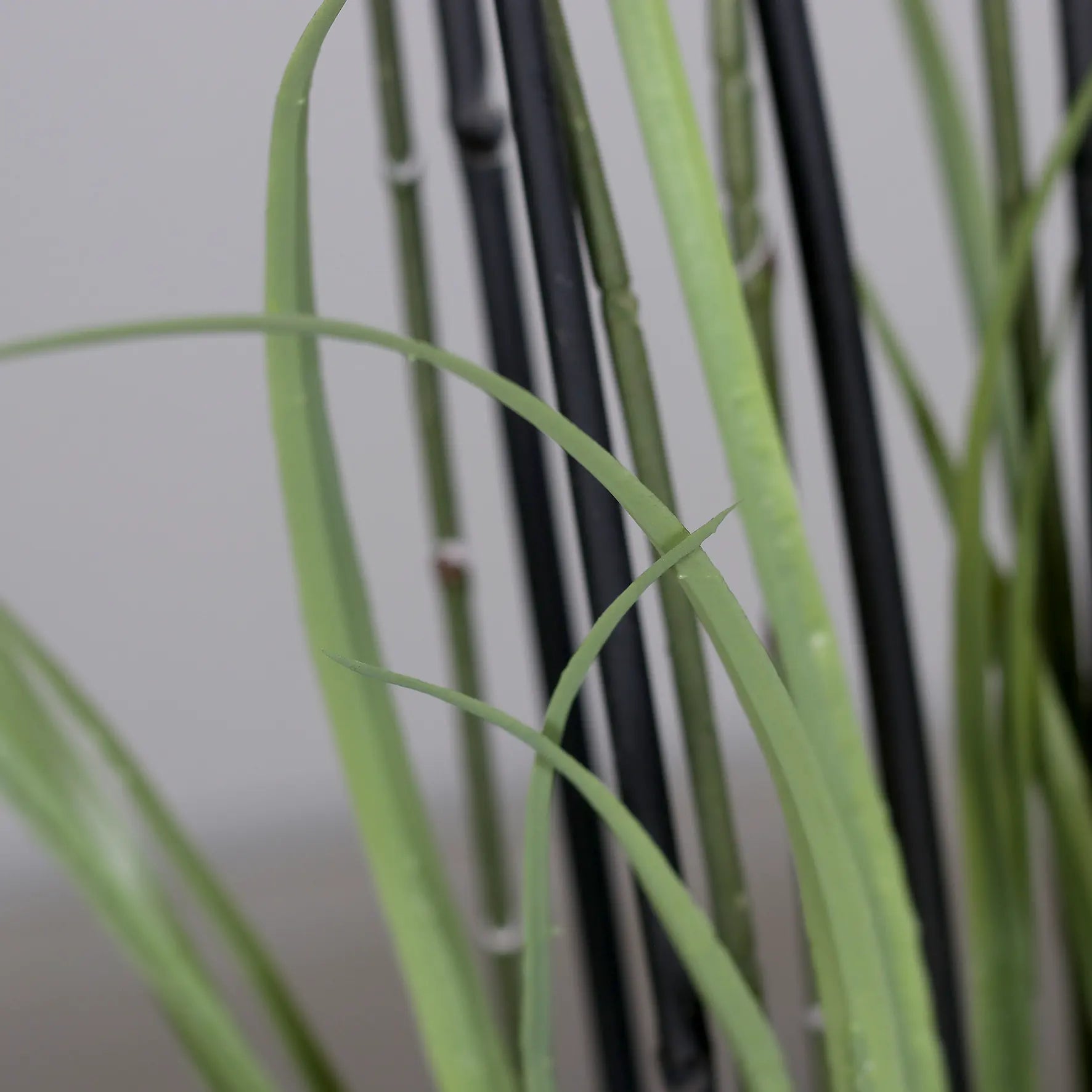 Künstliche Orchidee - Aylin | 120 cm, Real Touch - Kunstpflanzen von aplanta