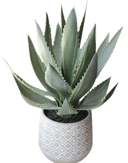 Künstliche Aloe - Rees | 33 cm