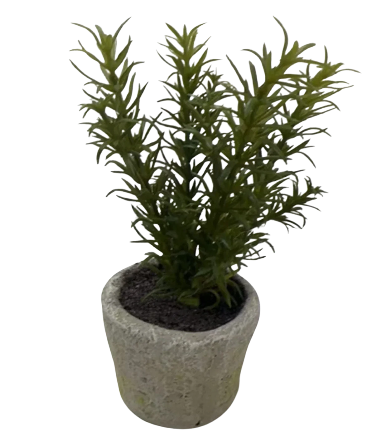 Künstliches Rosmarin - Megan | 26 cm