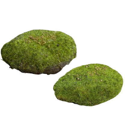 Deko Moosschwamm - Hanni, 10 cm, Kunstpflanze von aplanta, 1 Stück, in Natur, für drinnen