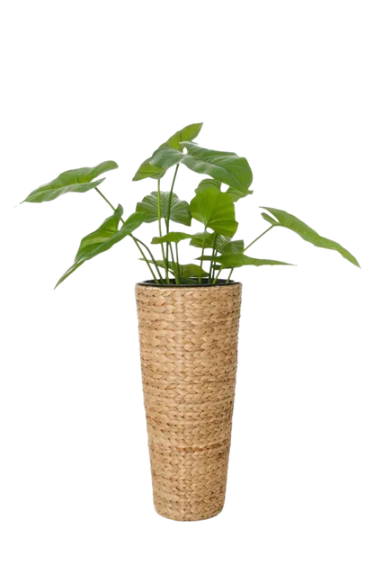 Pflanzkübel - Anesa, 60 cm, von aplanta, 60 cm hoch, in Natur, für drinnen