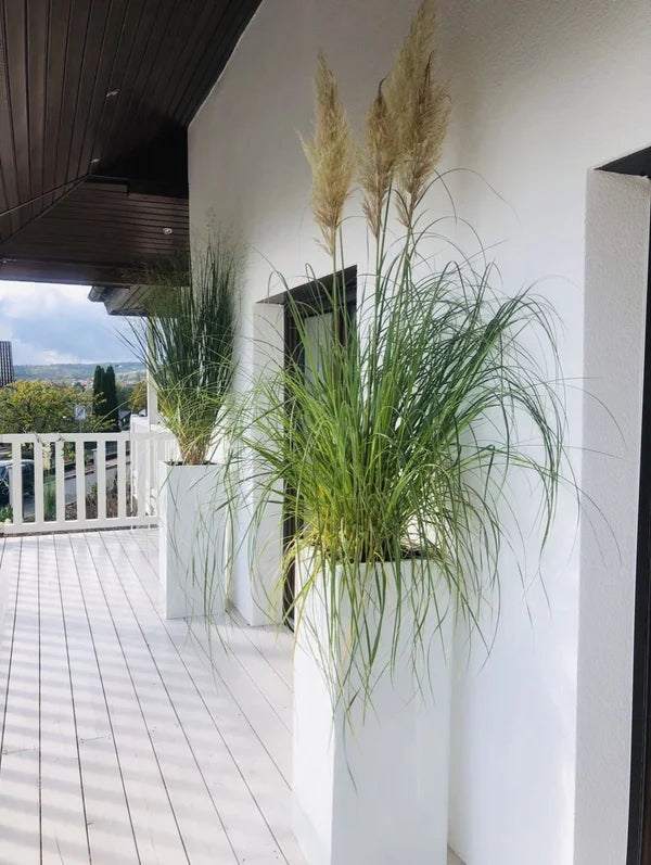 Bac à plantes - Enisa | 40x40x100 cm, Blanc