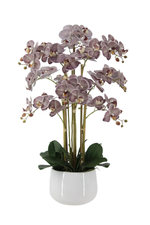 Künstliche Orchidee - Chen | 80 cm