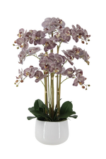 Künstliche Orchidee - Chen | 80 cm