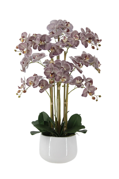 Künstliche Orchidee - Chen | 80 cm