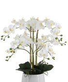 Künstliche Orchidee - Dan | 65 cm
