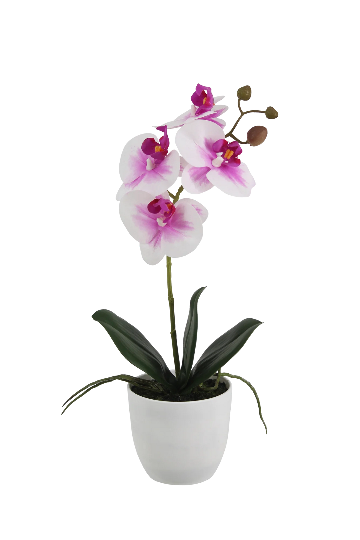 Künstliche Orchidee - Dan