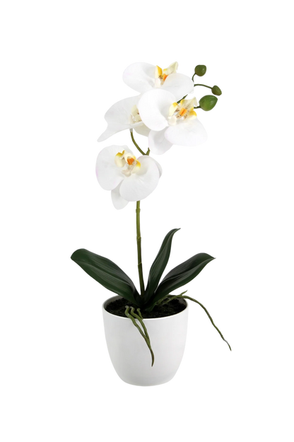 Künstliche Orchidee - Han, 35 cm, Kunstblume von aplanta, inkl. Dekotopf, Real Touch, in Weiß, für drinnen