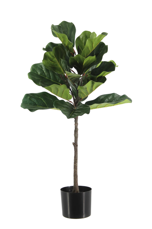 Künstlicher Ficus Lyrata - Niran | 90 cm